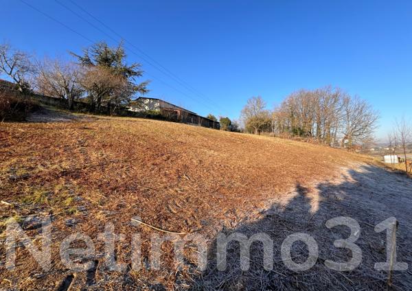 Terrain constructible