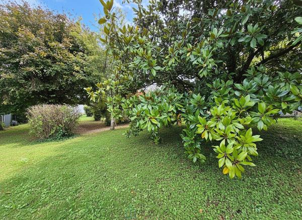 Centre-ville, maison lumineuse avec garage et jardin arboré