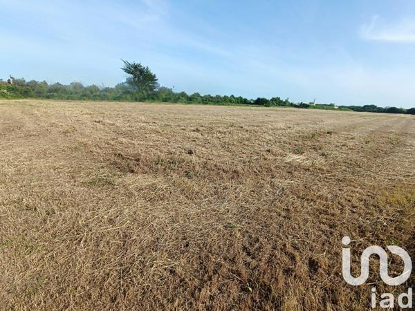 Terrain à vendre 595 m² Saint-Jean-de-Liversay