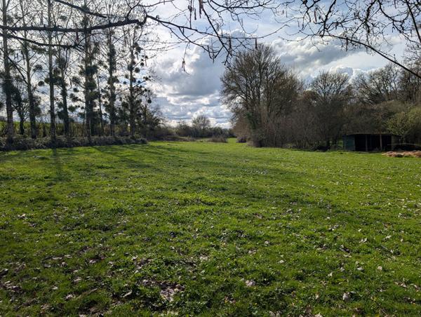 Exceptionnelle Propriété de Campagne - 10 pièces, 322 m² sur 5,8 hectares