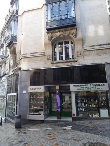 Local commercial ou professionnel