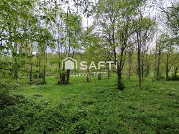 TERRAIN DE LOISIR AU CALME