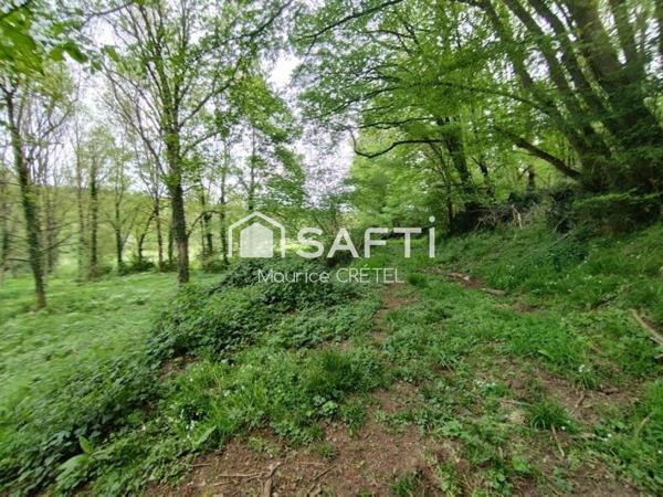 TERRAIN DE LOISIR AU CALME