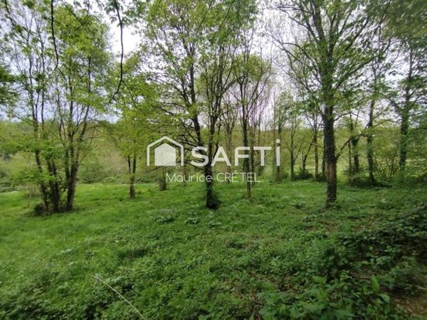 TERRAIN DE LOISIR AU CALME