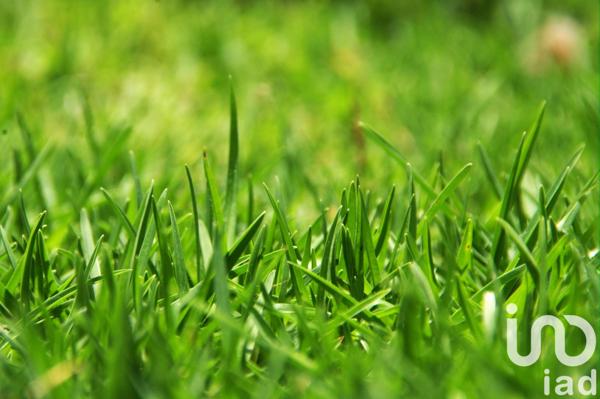 Terrain à vendre 1 315 m² Lamothe-Montravel