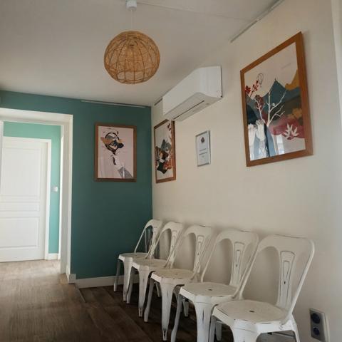 Maison à usage mixte habitation et professionnel – Tarbes