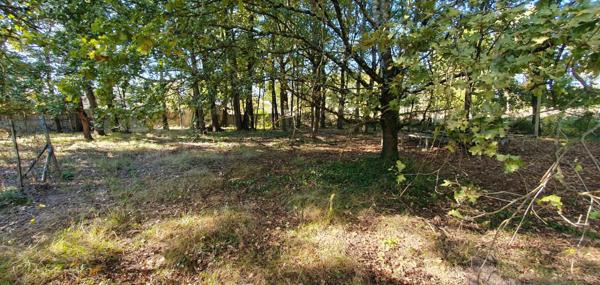 TERRAIN A BATIR ARBORÈ DE 1776 M2