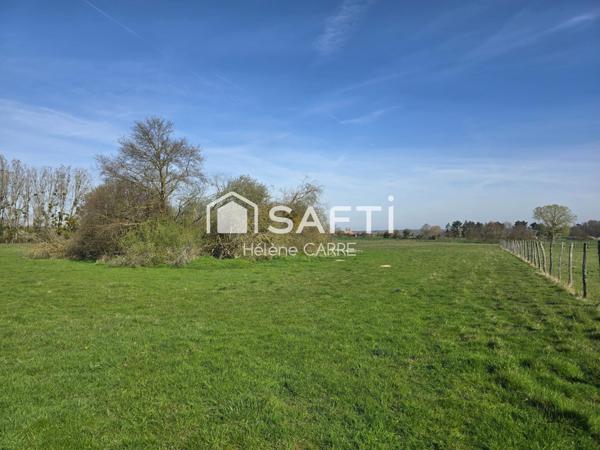 Pré d'environ 5 hectares