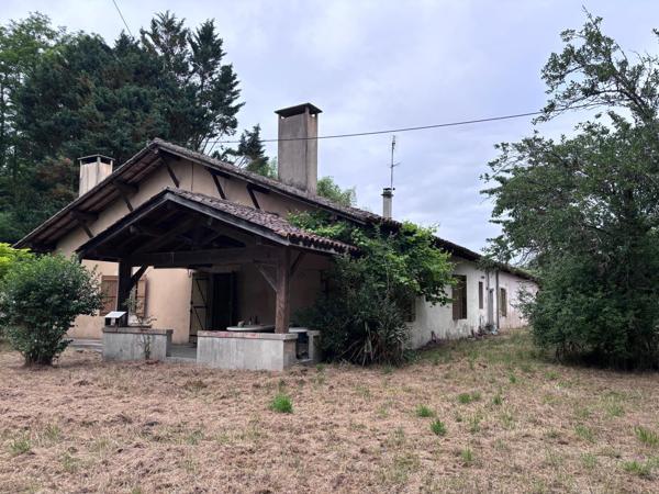 Saint-Michel-de-Castelnau – Maison à rénover avec grange et 1 hectare de terrain