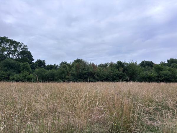 Saint-Michel-de-Castelnau – Maison à rénover avec grange et 1 hectare de terrain