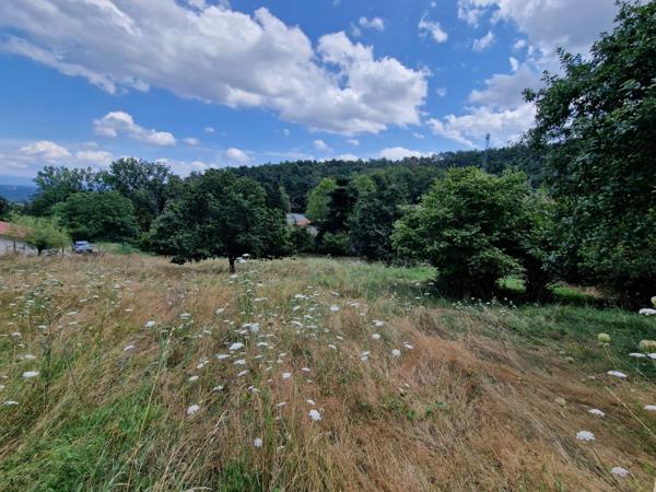Terrain à vendre de 1271 m² orienté SUD sur la commune de MARCOUX, 2 minutes de BOEN et 15 minutes de MONTBRISON