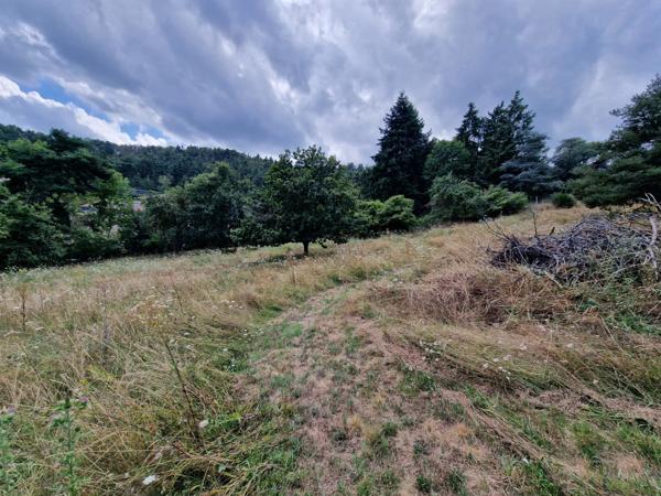Terrain à vendre de 1271 m² orienté SUD sur la commune de MARCOUX, 2 minutes de BOEN et 15 minutes de MONTBRISON