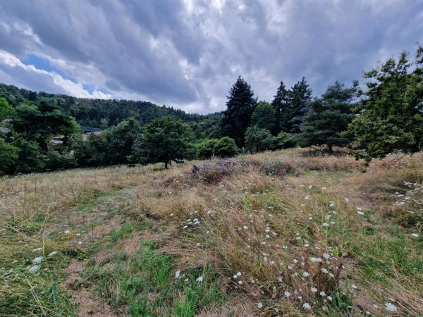 Terrain à vendre de 1271 m² orienté SUD sur la commune de MARCOUX, 2 minutes de BOEN et 15 minutes de MONTBRISON