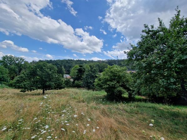 Terrain à vendre de 1271 m² orienté SUD sur la commune de MARCOUX, 2 minutes de BOEN et 15 minutes de MONTBRISON