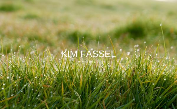 Mittelhausbergen (67206) Terrain 410 m² à Mittelhausbergen