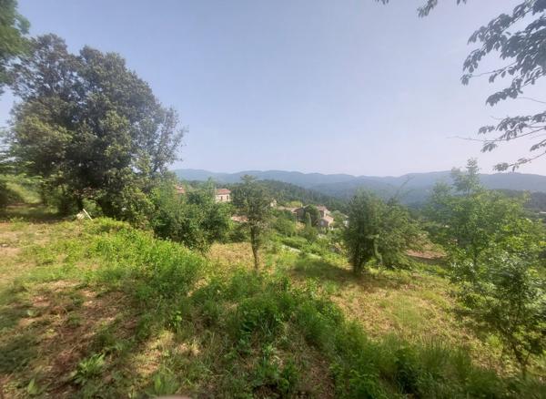 terrain constructible viabilisé avec permis