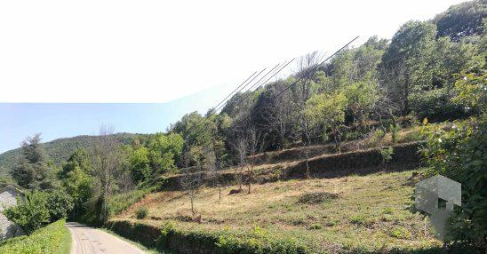 terrain constructible viabilisé avec permis