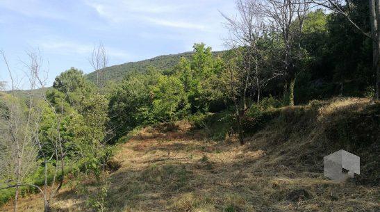 terrain constructible viabilisé avec permis