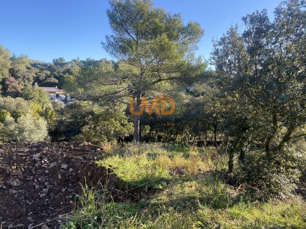 Terrain avec permis et fondations d'une maison