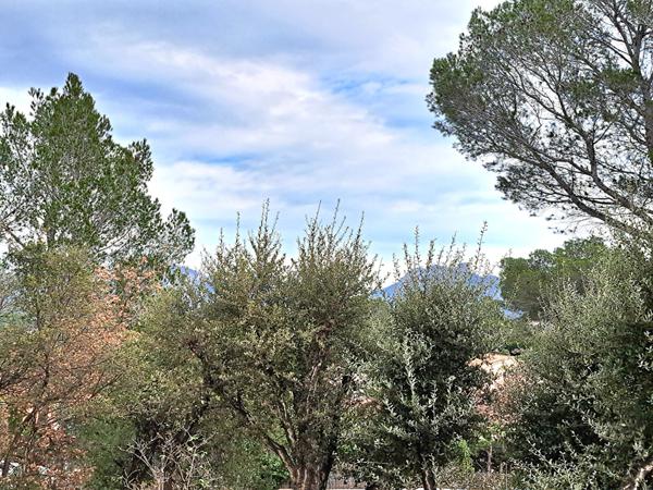 Magnifique appartement 2 pieces 55 m2, secteur Valescure