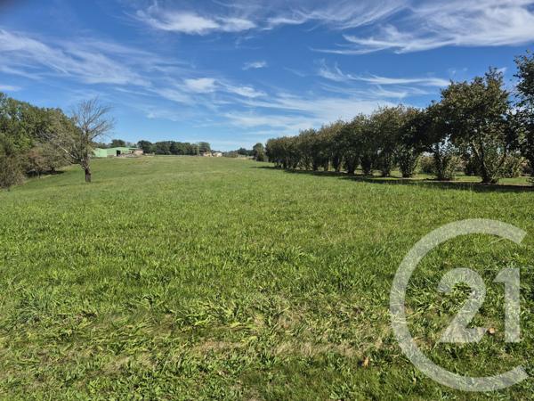 Maison à vendre  6 pièces - 148,97 m2 BOULOGNE SUR GESSE - 31