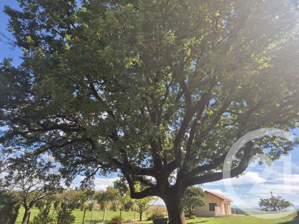 Maison à vendre  6 pièces - 148,97 m2 BOULOGNE SUR GESSE - 31