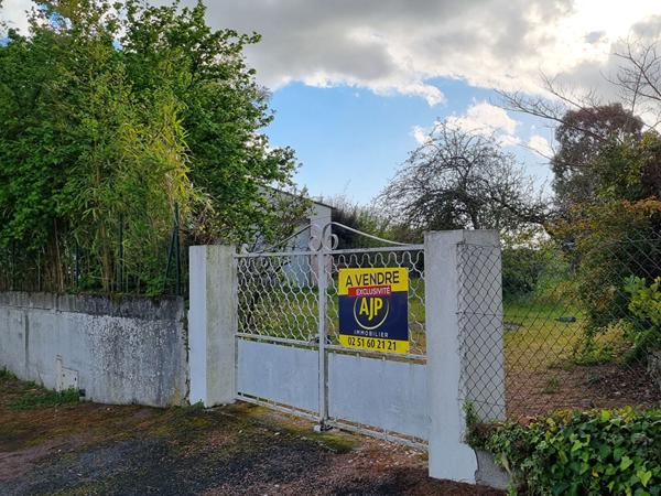 Vente terrain Challans : 71 900 € - AJP Immobilier Challans