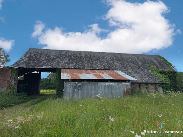 Hangar avec 1 ha de terrain sur Charchigné