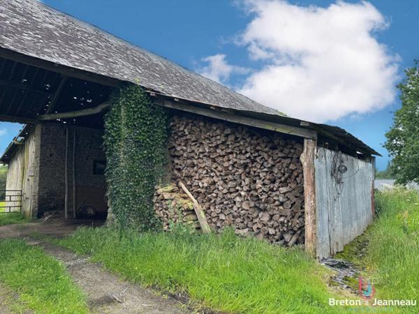 Hangar avec 1 ha de terrain sur Charchigné