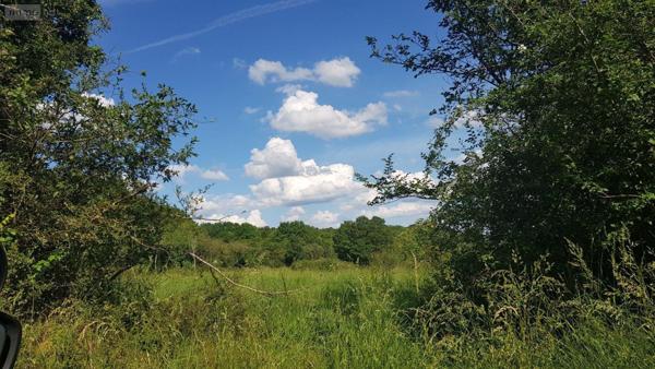 Terrain à Batir à vendre à Mennetou-sur-Cher dans le Loir-et-Cher (41320), ref : 41036/1516