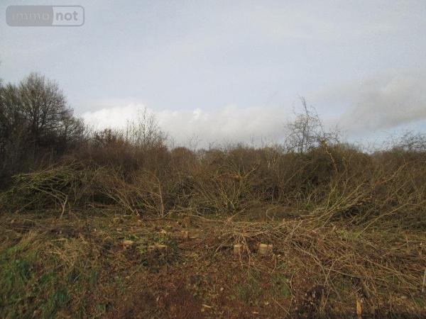 Terrain à Batir à vendre à Mennetou-sur-Cher dans le Loir-et-Cher (41320), ref : 41036/1516