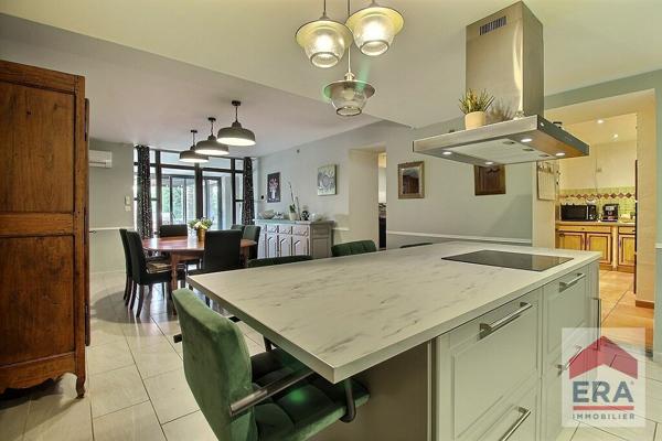 Maison L Isle Sur La Sorgue 11 pièces - 359m² - Piscine 