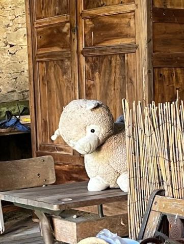 PLAISANCE DU GERS-MARCIAC, AUTHENTIQUE PROPRIETE RURALE 2 hecatares, sans voisin, sans vis à vis, un peu cachée et pourtant avec une jolie vue sur coteaux gascons