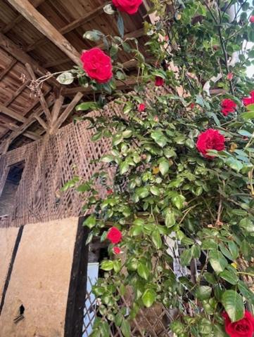 PLAISANCE DU GERS-MARCIAC, AUTHENTIQUE PROPRIETE RURALE 2 hecatares, sans voisin, sans vis à vis, un peu cachée et pourtant avec une jolie vue sur coteaux gascons