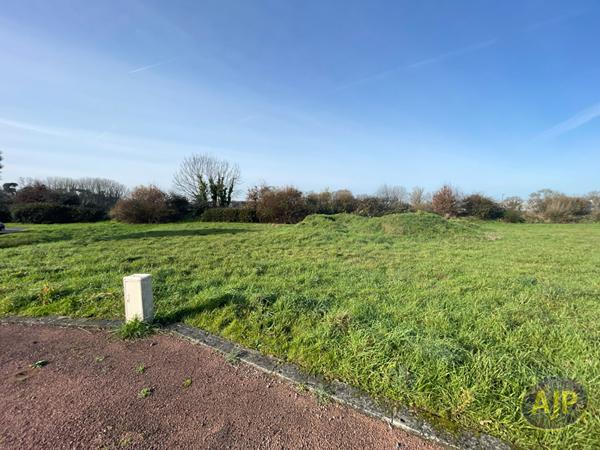 Vente terrain Challans : 91 500 € - AJP Immobilier Challans