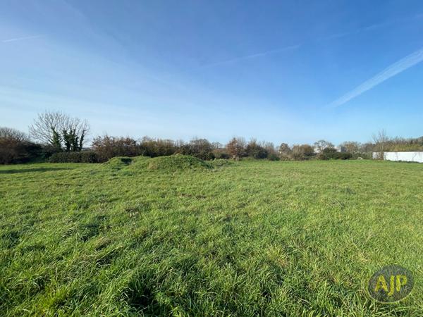 Vente terrain Challans : 91 500 € - AJP Immobilier Challans