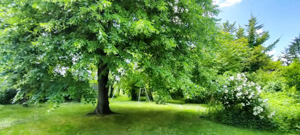 Ascoux (45300) Maison en pierre