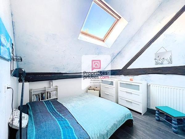 Maison, Gilly Sur Isère 15 pièces  353 m2 + dépendance de 200 m²