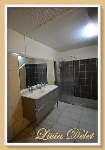 Lot de 2 maisons mitoyennes – Saint-Pierre (Martinique) – Idéal investisseurs & résidents