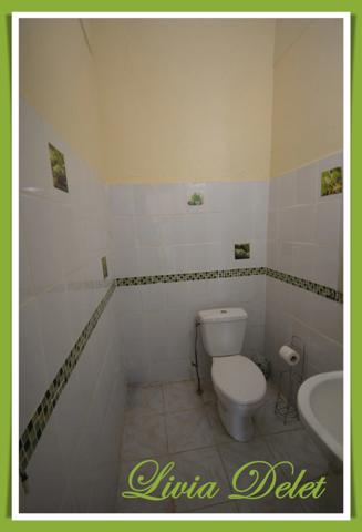 Lot de 2 maisons mitoyennes – Saint-Pierre (Martinique) – Idéal investisseurs & résidents