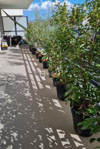 T4 70M2 Terrasse Pont-de-Vivaux/St Loup