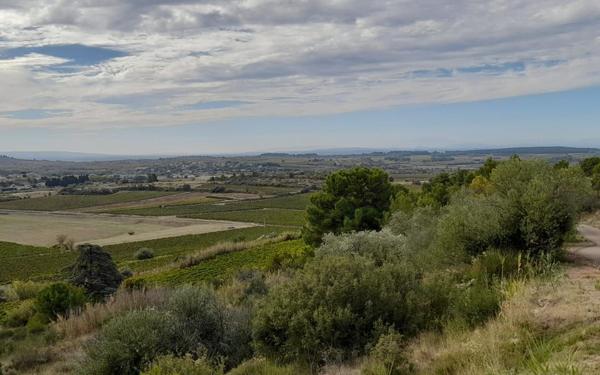 Maison à vendre    5 pièces •  Puisserguier