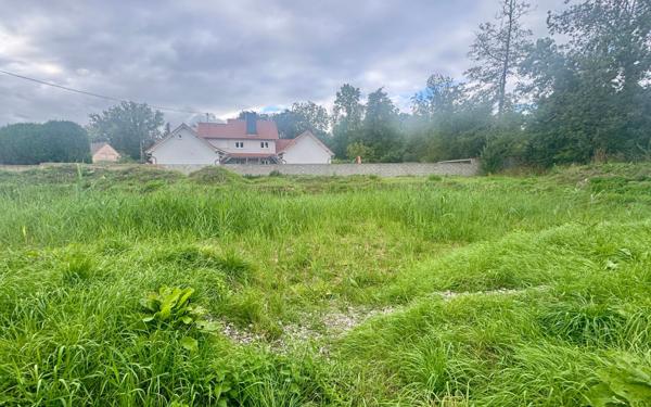 Terrain à vendre    Krautwiller