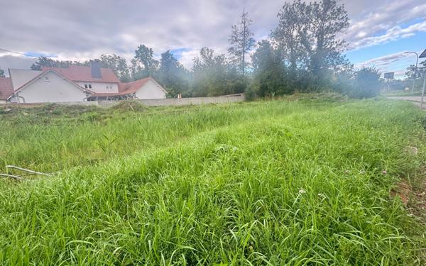 Terrain à vendre    Krautwiller