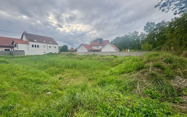 Terrain à vendre    Krautwiller