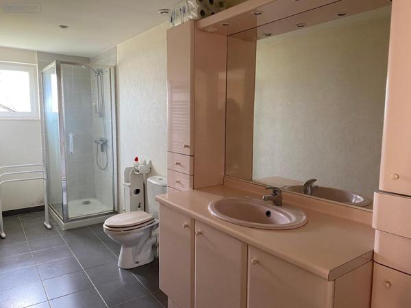 Maison individuelle à vendre à Digoin en Saône-et-Loire (71160), ref : M-E-JU