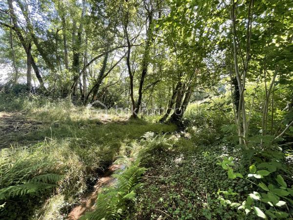 Maison d architecte de 220 m²