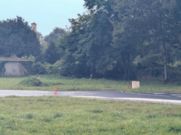 LIGNOL TERRAIN A BATIR VIABILISE DE 674m²