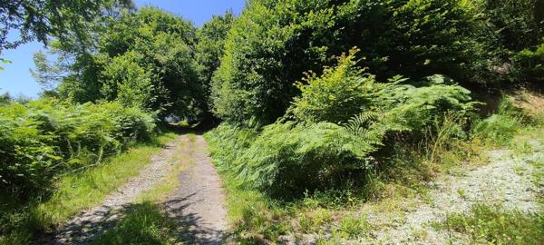 MAISON FAMILIALE EN PIERRES + DÉPENDANCES + PARCELLE BOISÉE