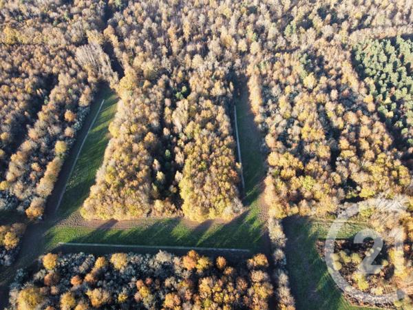 Maison à vendre  6 pièces - 209,04 m2 LA FERTE ST AUBIN - 45